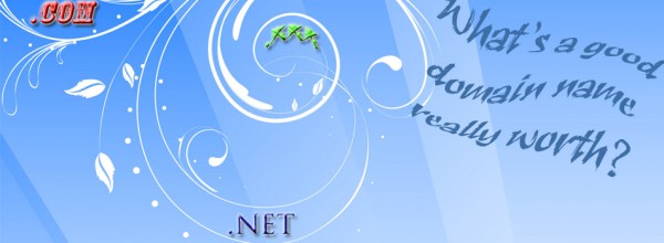 domain-name-value